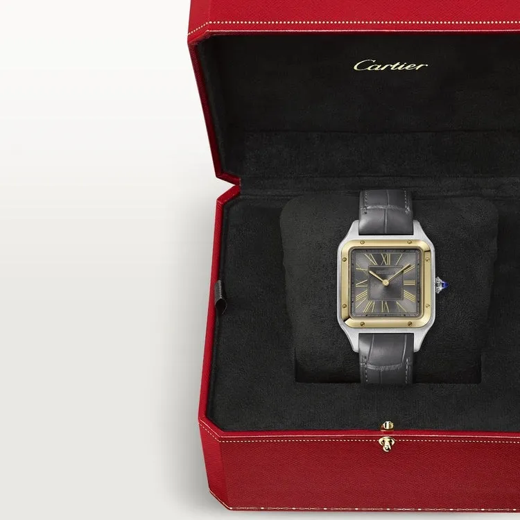 32mm C-Luxury-Watches Santos-Dumont Large