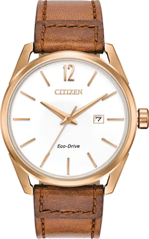 Citizen Eco Drive Cto (Check This Out) Men's Watch BM7413-02A