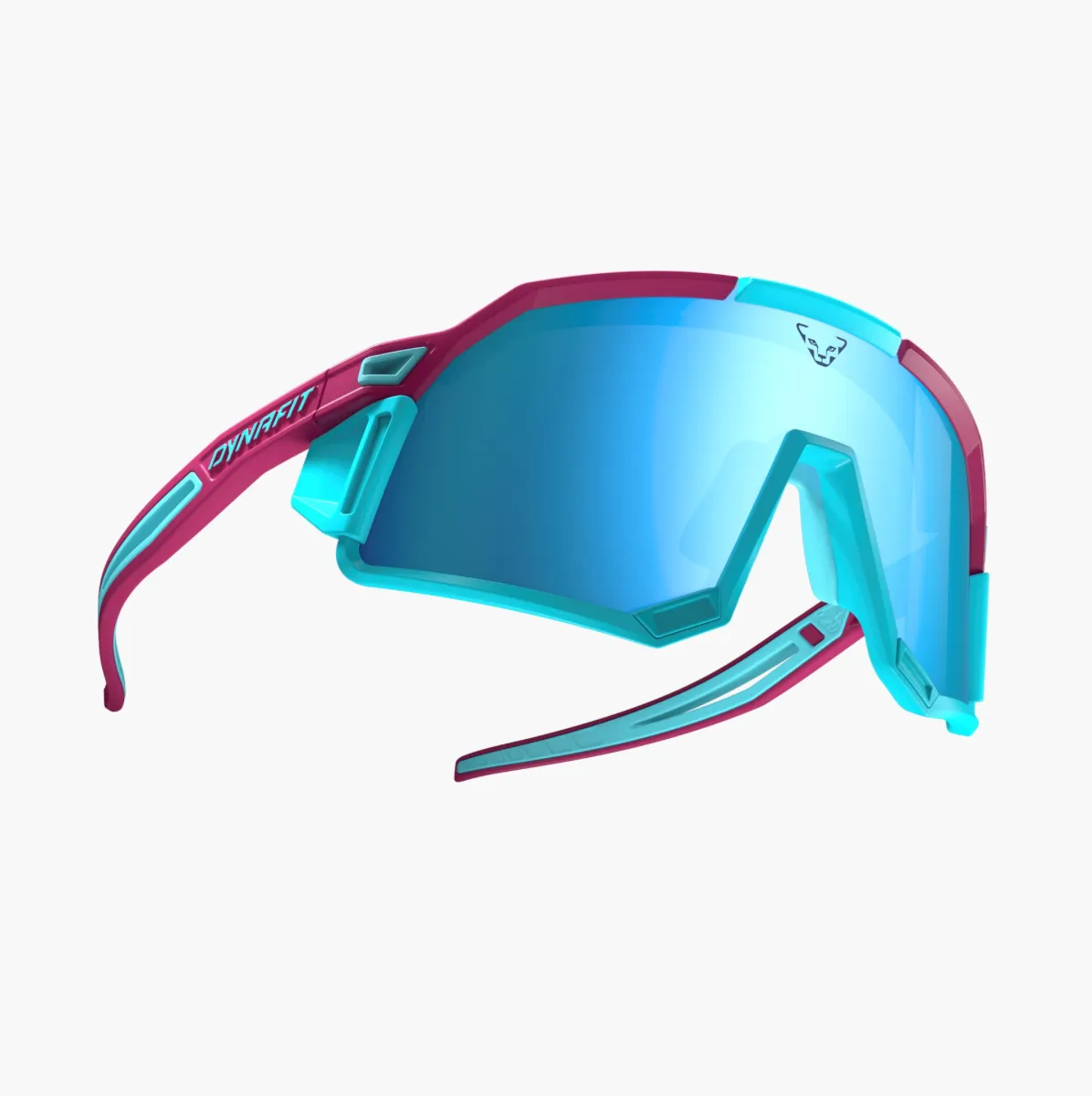 Dynafit Sky Evo Sunglasses