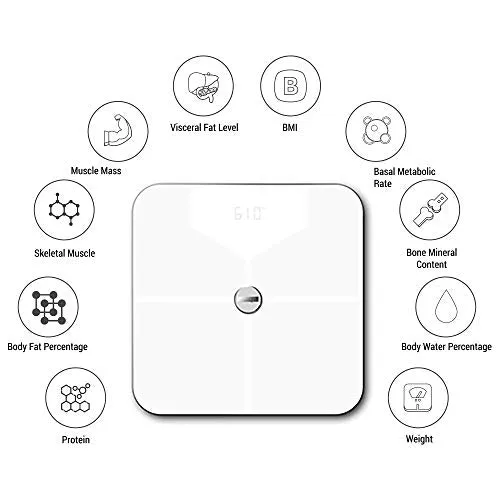 GOQii Balance Body Composition Monitor with 3 months Personal Coaching GOQii Vital 4.0 SpO2, Body Temperature and Blood Pressure Tracker with 3 Months Personal Coaching