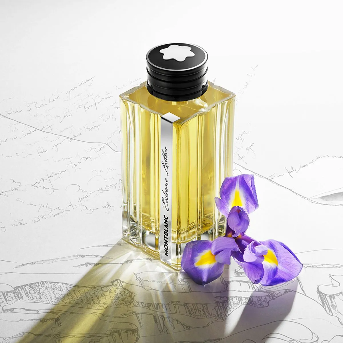 Mont Blanc Extreme Leather EDP Gift Set Smoked Iris ( 125 ml 15 ml)