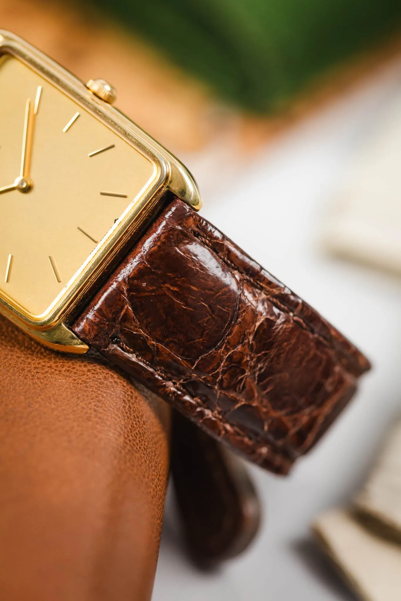 Morellato MOMBASA Genuine Crocodile Watch Strap in DARK BROWN