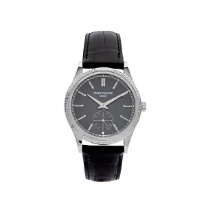 PP Luxury Watches Calatrava 6119G-001 White Gold Grey Dial (2023)