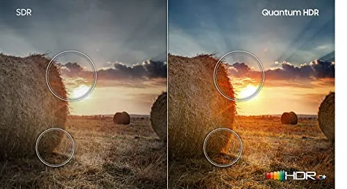 Samsung QN43Q6DAAFXZA 43" 4K QLED Quantum HDR Smart TV with an Additional 1 Year Coverage by Epic Protect (2021)