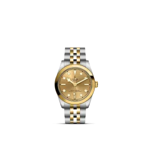 Tudor Black Bay 31 S&G