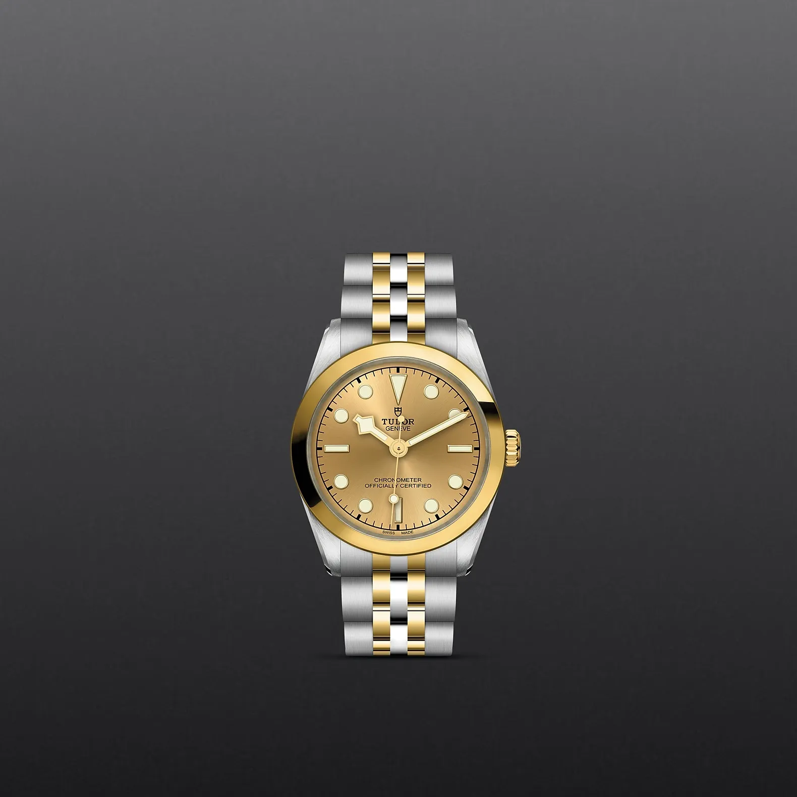Tudor Black Bay 31 S&G
