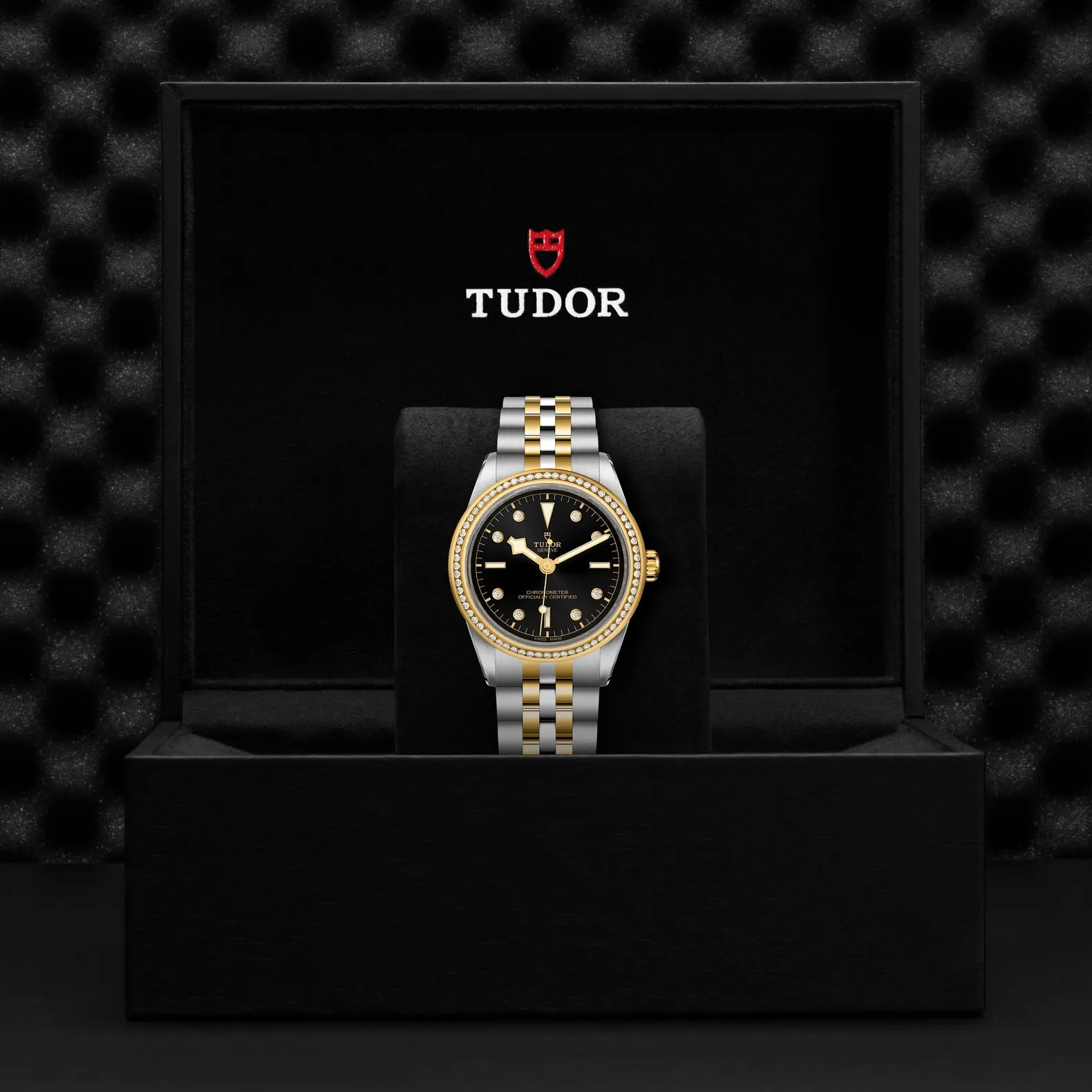 Tudor Black Bay 39 S&G
