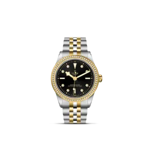 Tudor Black Bay 39 S&G
