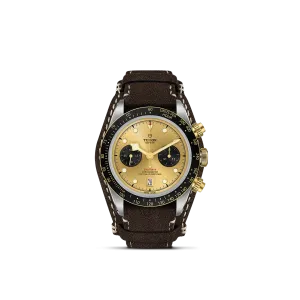 Tudor Black Bay Chrono S&G