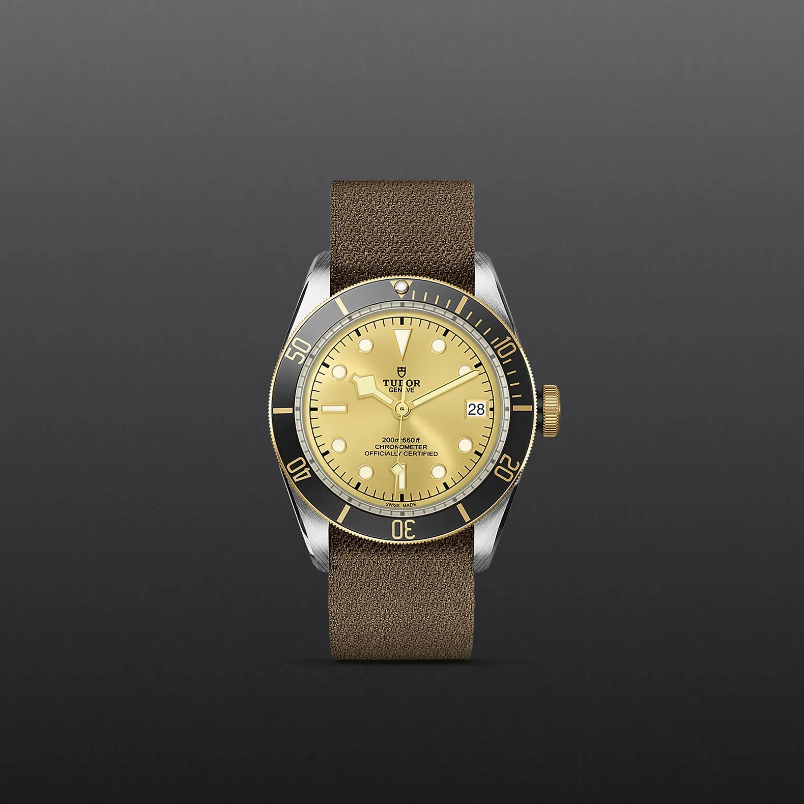 Tudor Black Bay S&G