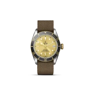 Tudor Black Bay S&G